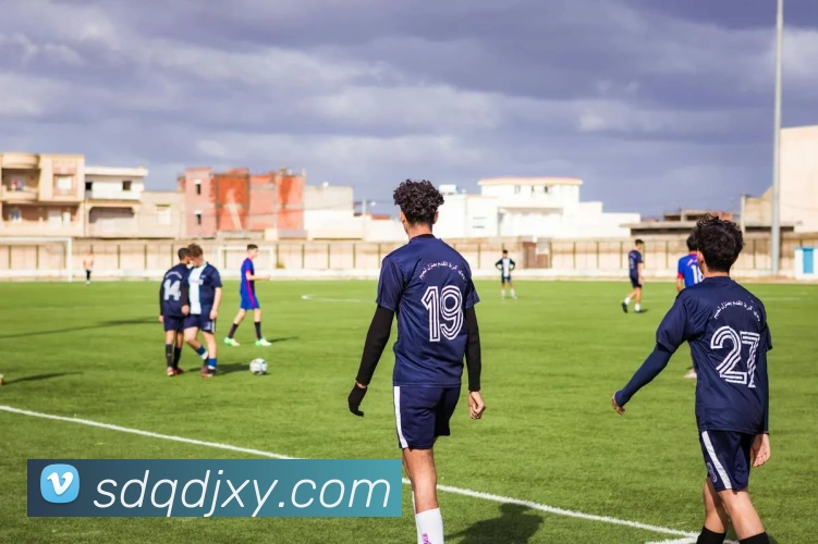 米兰官方网站入口发展历程